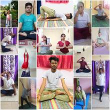 Yoga Day